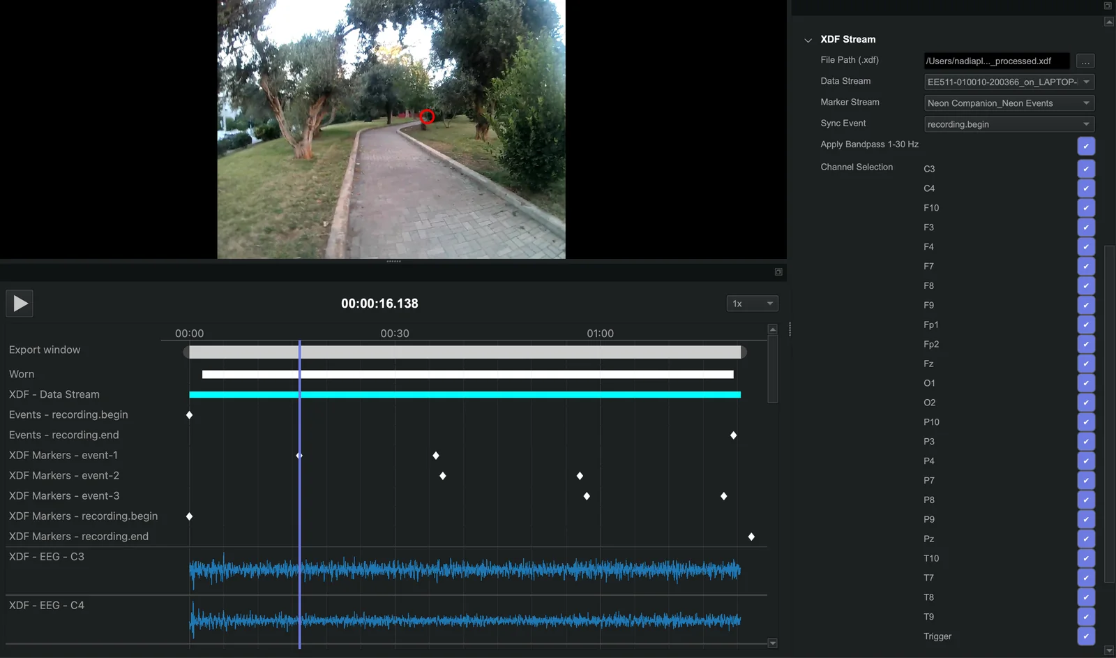 Okno programu Neon Player: u góry wideo sceny z parku z czerwonym kółkiem punktu patrzenia, niżej oś czasu ze zdarzeniami i dwa przebiegi EEG, po prawej panel wtyczki XDF Stream z listą kanałów układu 10-20