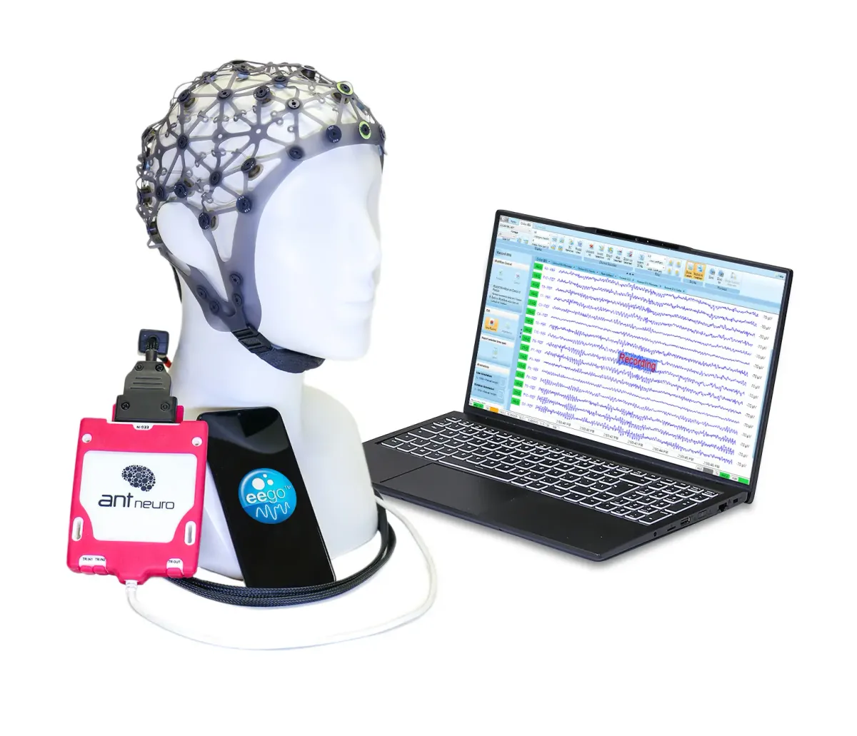 Mobilny system EEG ANT Neuro eego sports z czepkiem waveguard i laptopem